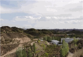 中川牡丹园-依山型地貌而建的树牡丹山地牡丹园